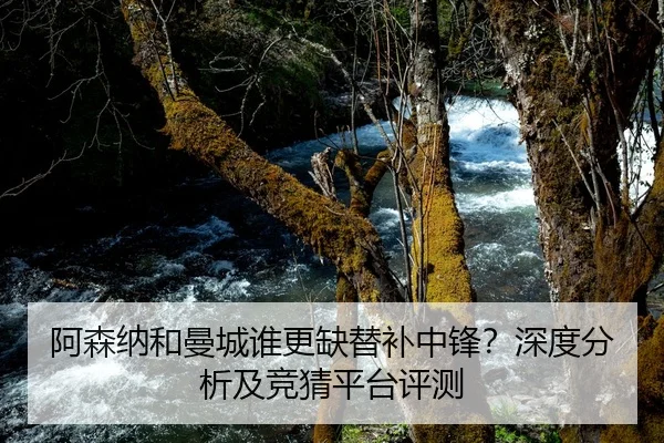 阿森纳和曼城谁更缺替补中锋？深度分析及竞猜平台评测