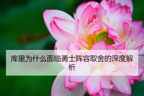 库里为什么面临勇士阵容取舍的深度解析